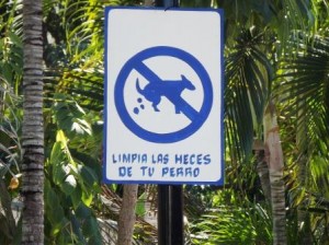 What the heck does this mean anyway, and who drew that picture?