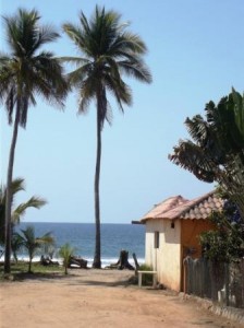 troncones palms com