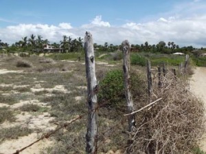 todo tumble week com